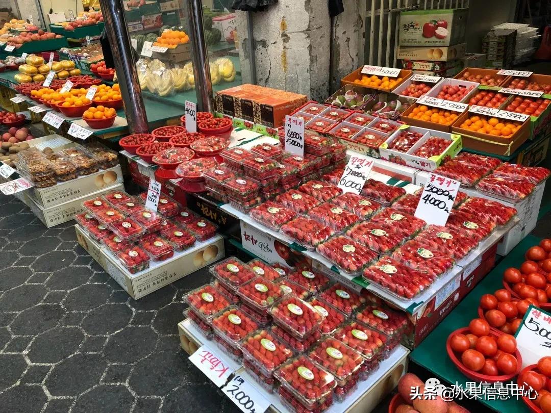 韩国的蔬菜水果批发市场,韩国最便宜的苹果水果