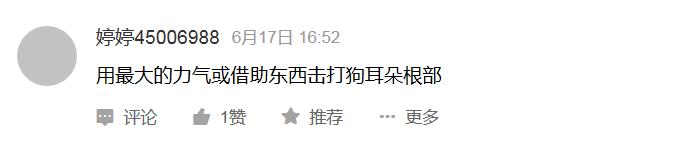 告诉孩子被狗咬怎么自救,如果小孩被狗咬怎么自救