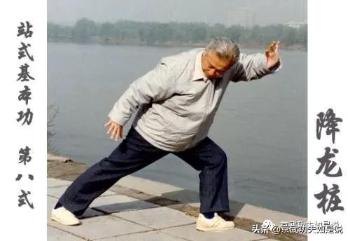 大成拳基本功法,大成拳功法总集图解