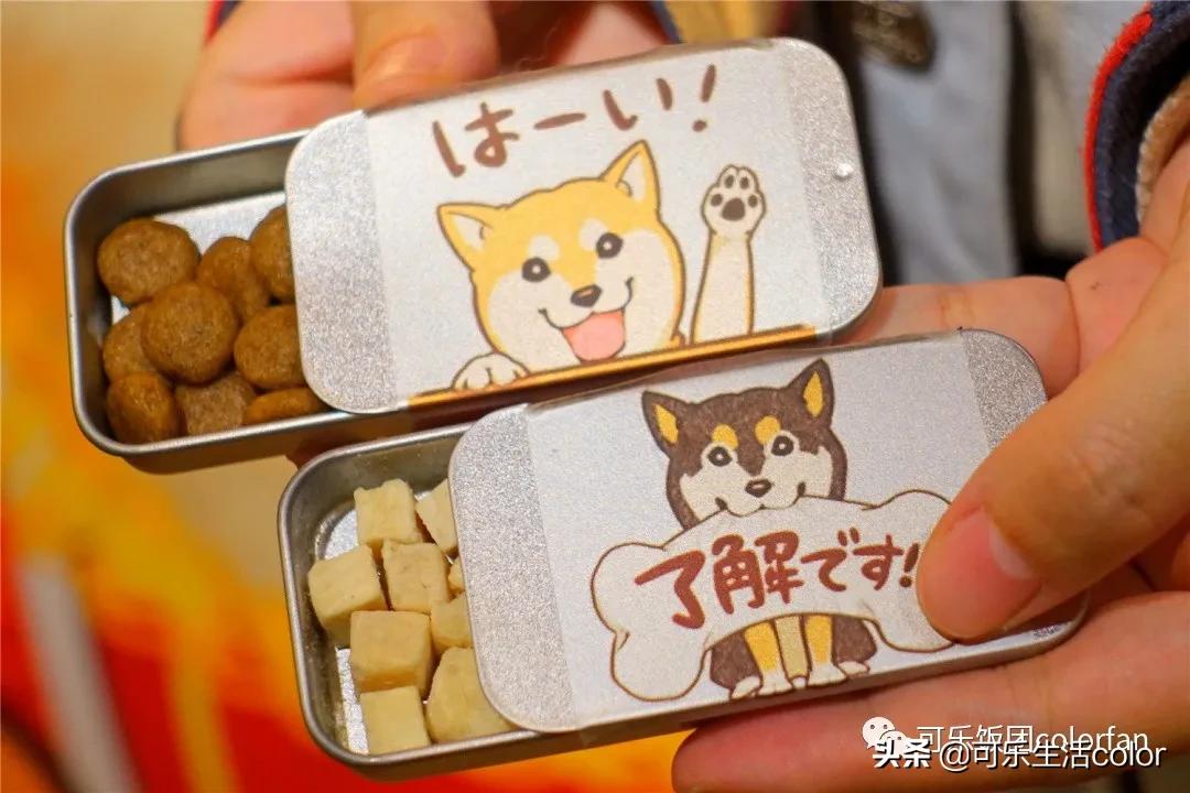 撸柴宠物乐园,广州番禺撸狗圣地