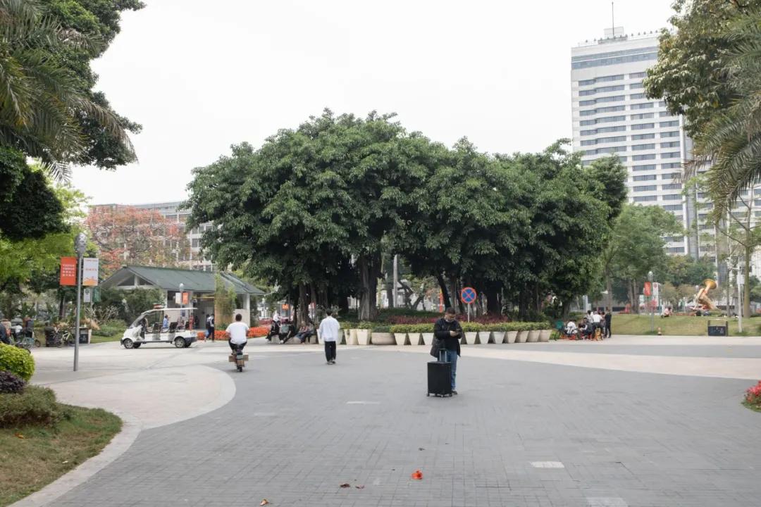 广州海珠广场美丽的风景,广州海珠广场历史故事