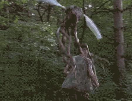 从小就吸引蚊子被蚊子咬,容易挨蚊子咬的原因