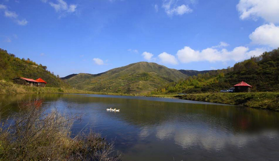 武山县油菜花最佳线路,武山油菜花海路线图