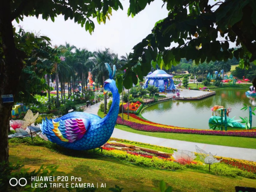 广州云台花园花展,广州云台花园咋样