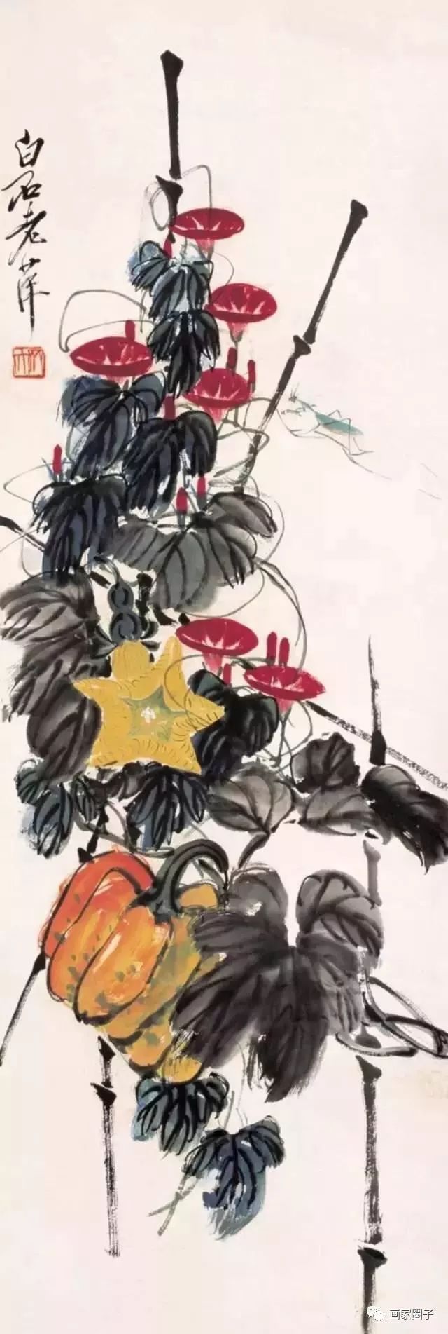 100种漂亮花卉图片,100张漂亮花图