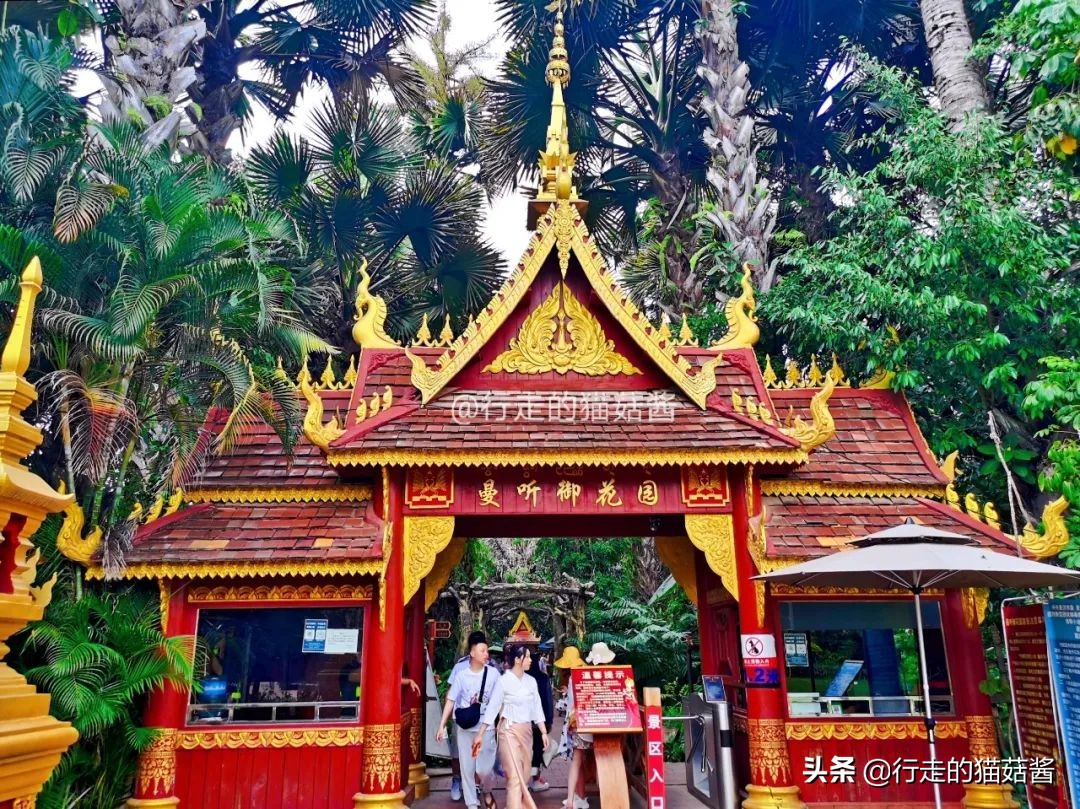 三刷一个城市是什么样的体验,西双版纳最好的边境小城