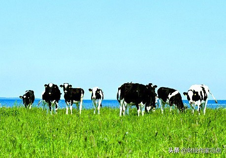 中国乳业百科全书解说,中国乳业七十年发展历程