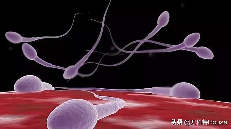 幽门螺杆菌会导致不孕吗,感染幽门螺杆菌的几率有多大