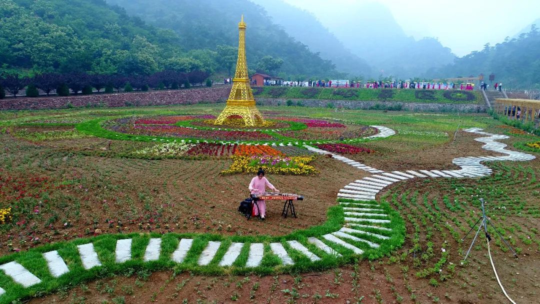 杏子熟了好吃又爽口,周末去近郊景盛源消暑摘杏