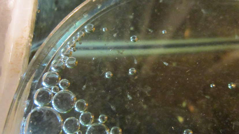 鍥芥枟绻佹畺娉版枟,娉版枟鍏瘝绻佹畺