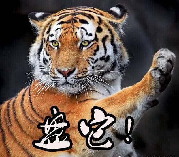 盘它抢先版演唱视频,盘它抖音版