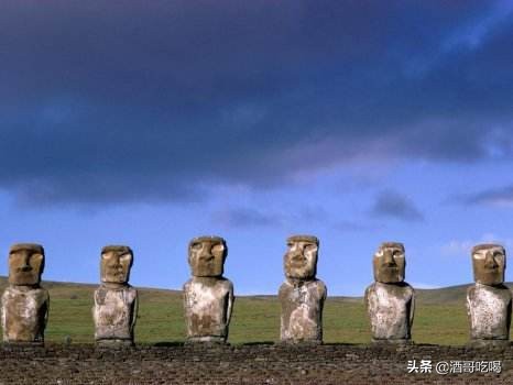 智利葡萄酒等级划分,怎么快速看懂红酒等级