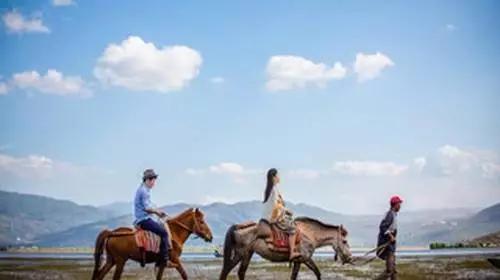 丽江拉市海骑马骗局,丽江拉市海骑马多少钱