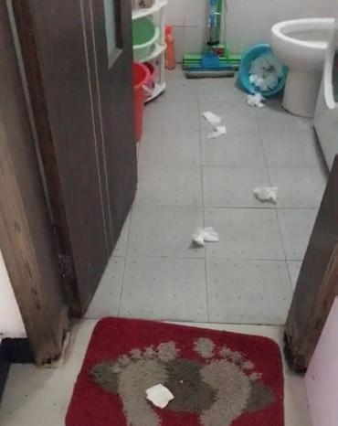 萨摩耶被主人套路完整版,萨摩耶把10斤的酒桶咬坏了