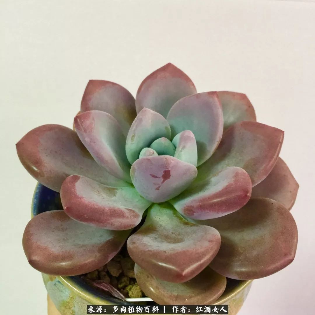 记录走过的美景留下美好的回忆,记录走过的每一段美好时光