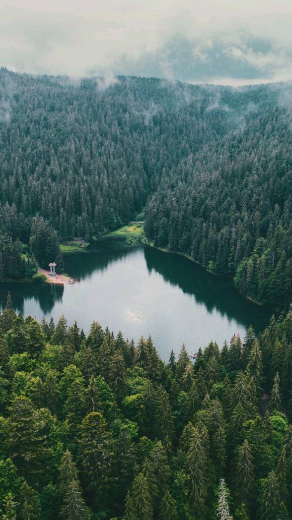 绁炴埛vs妯花姘存墜,鏃ヨ亴绁炴埛鑳滃埄vs鍚嶅彜灞嬮哺