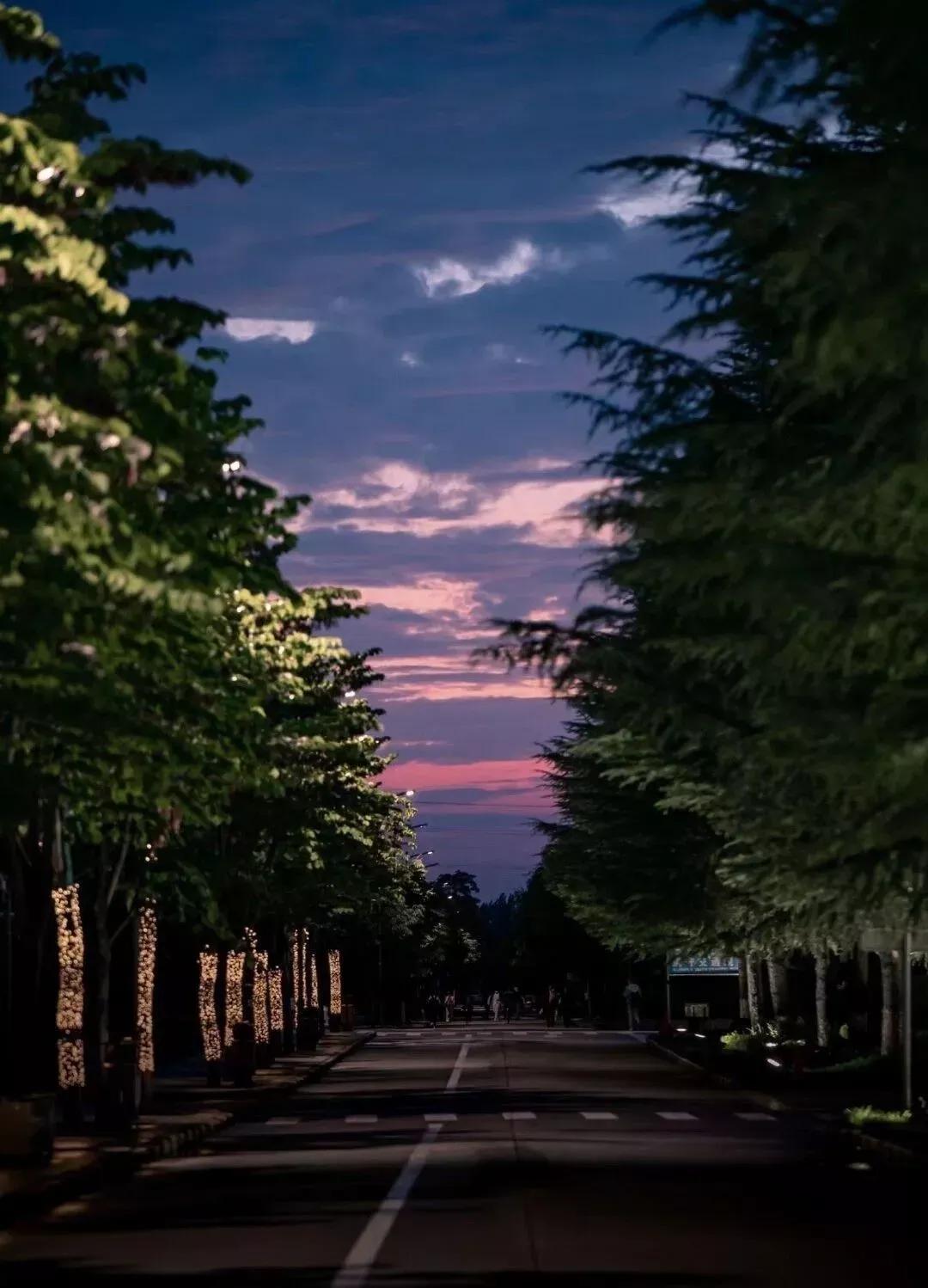 安徽省合肥师范学院2024招生简章,安徽省合肥师范学院今年投档线