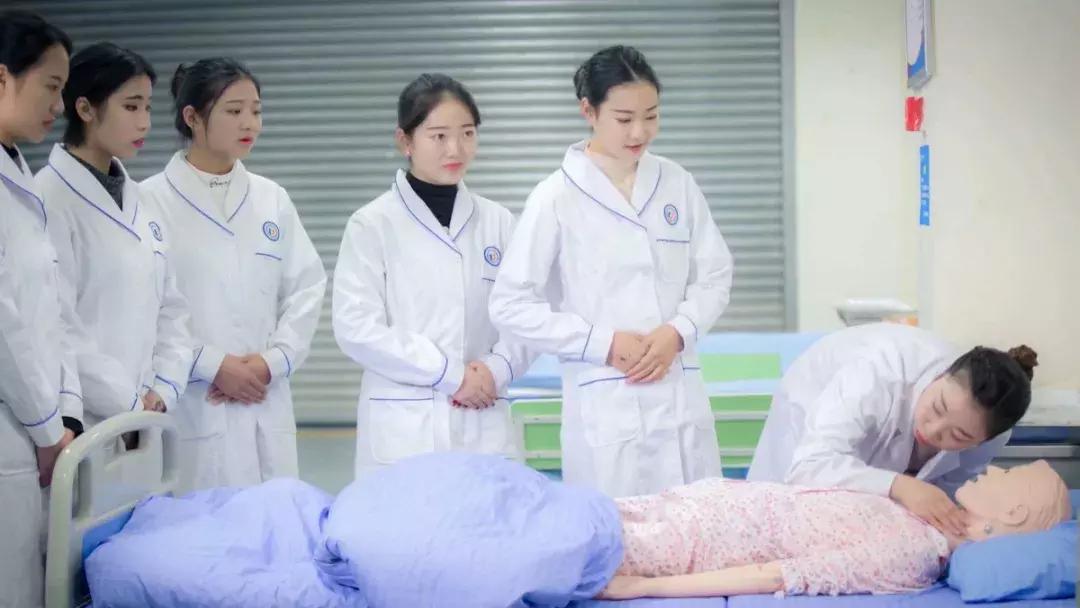 国内最大的新能源汽车实训设备,汽车实训基地