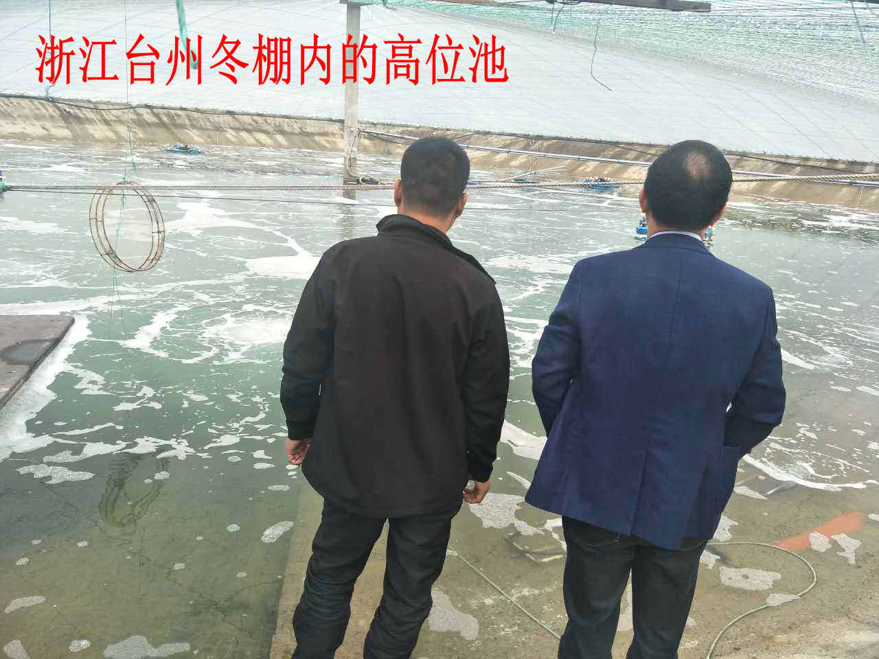 高位池养虾是什么意思,高位池养虾自动排污设计图