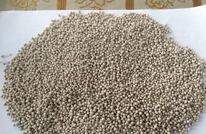 如何教英短蓝猫用猫砂,新手养猫什么猫砂比较好