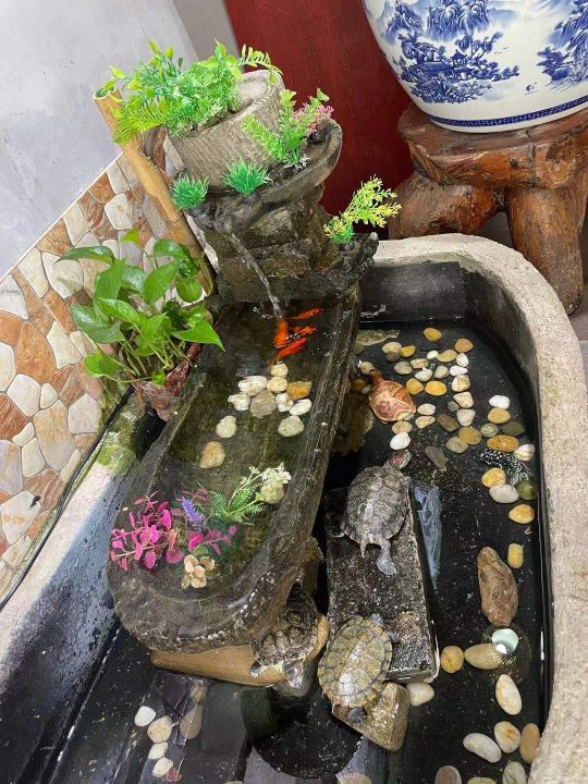 巴西龟的龟壳做的龟苓膏,龟苓膏是不是用巴西龟做的