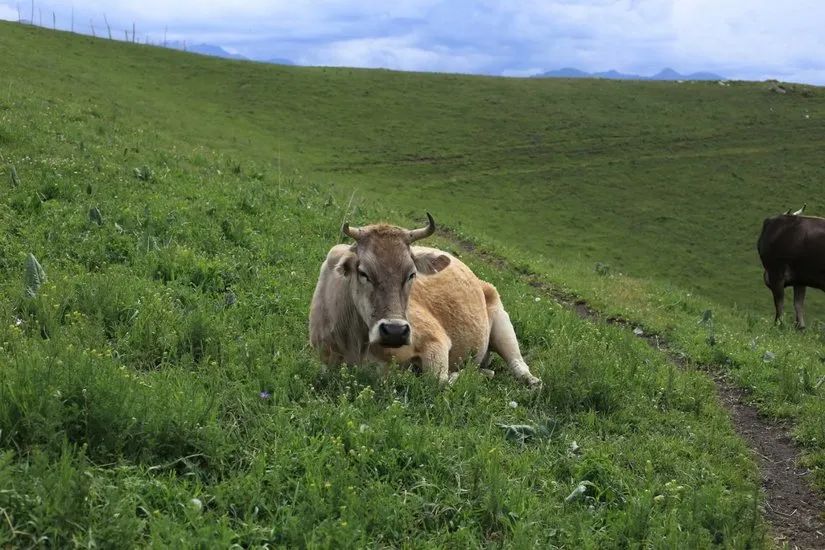 喀拉峻穿越琼库什台几天,喀拉峻穿越琼库什台