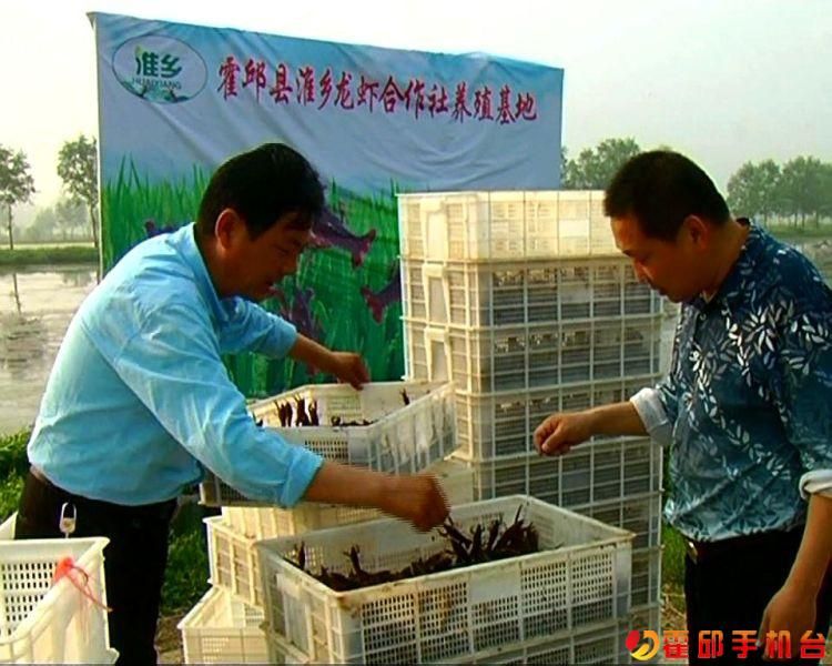 霍邱最美的道路,最美家乡霍邱