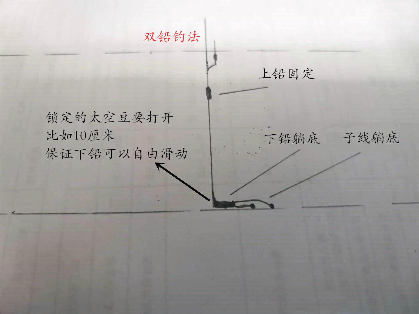 野钓鲮鱼调漂最佳方法,钓鲮鱼台钓调漂的正确方法