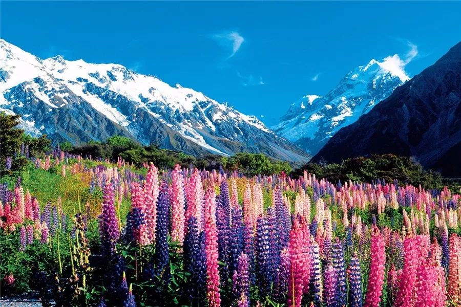 旅拍需要多少钱,国外旅拍婚纱照推荐哪家最好