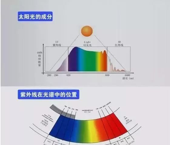 适合长期储存的红酒,红酒可以长期放冰箱吗