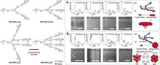 精选JACS/Angew12篇：树枝状大分子的最新成果大盘点