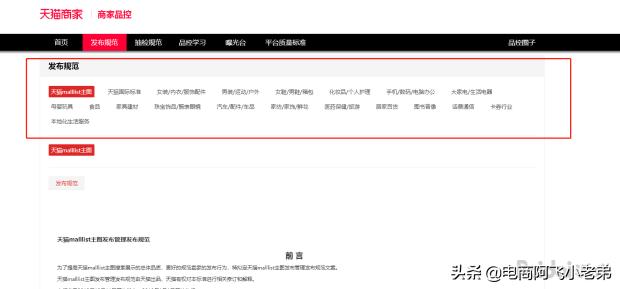 淘宝小类目新店怎么快速做起来,小类目淘宝新店应该怎么起步