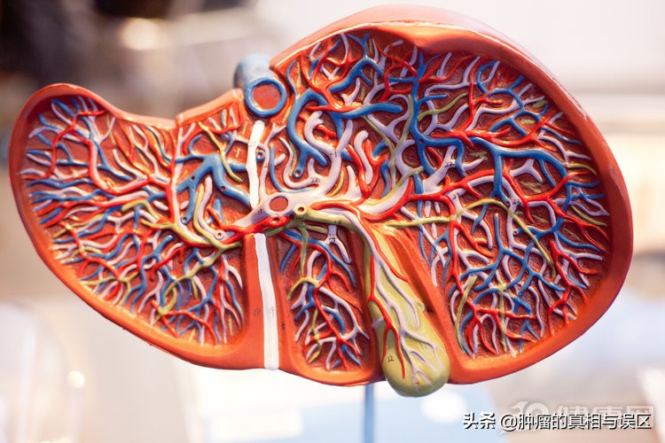 肝痛就是肝癌了吗,肝区疼痛怎样判断是肝痛还是胆痛