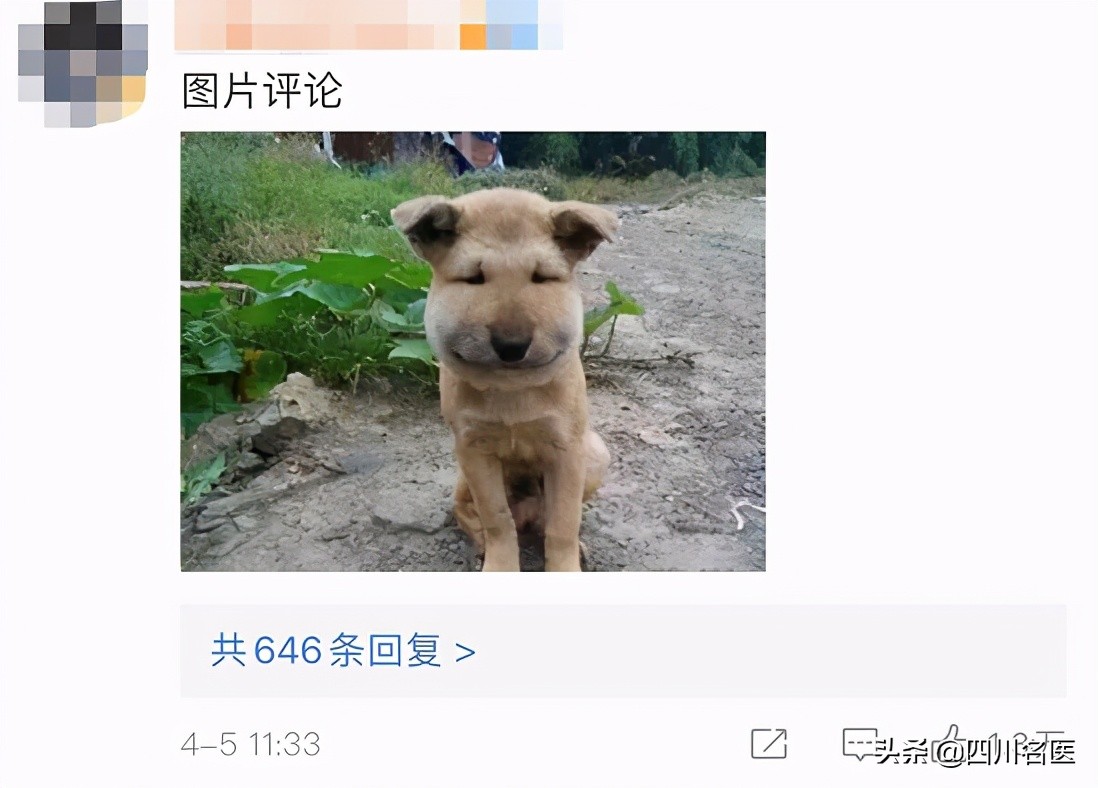 智齿一次拔几颗合适,智齿一定要拔吗几岁拔