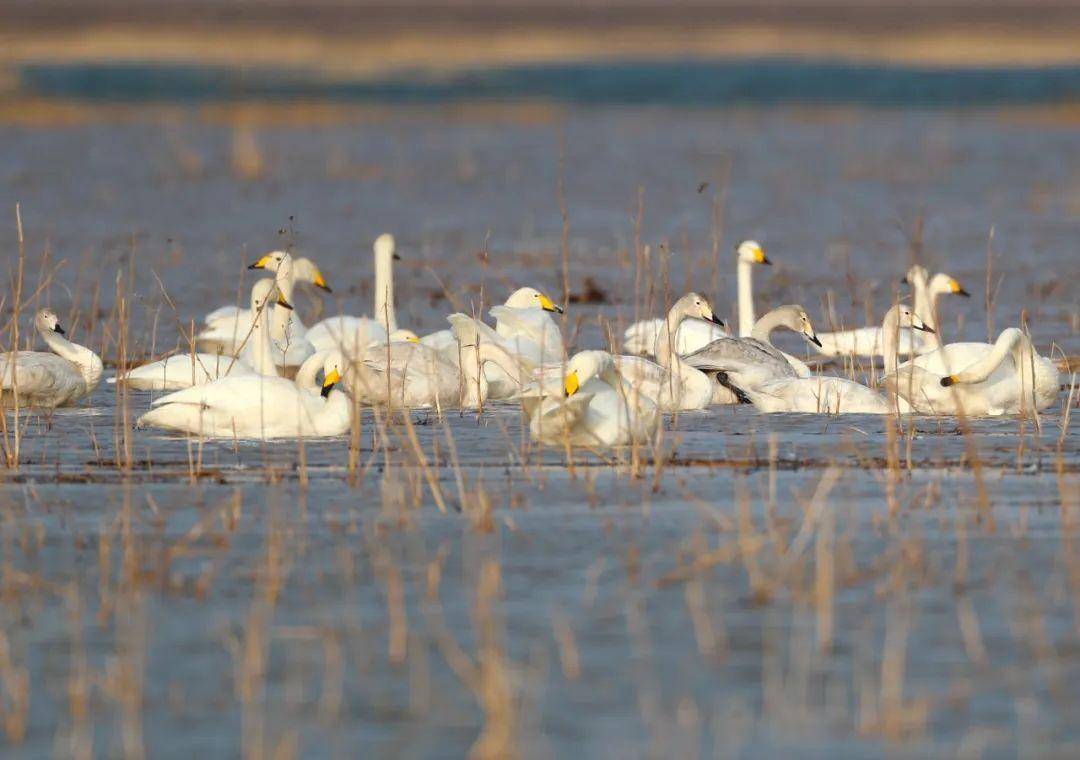 一个人的无名指长说明什么,无名指长是招财吗