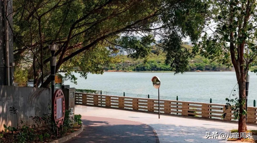 深圳带娃免费旅游推荐,深圳带娃出游景点攻略推荐