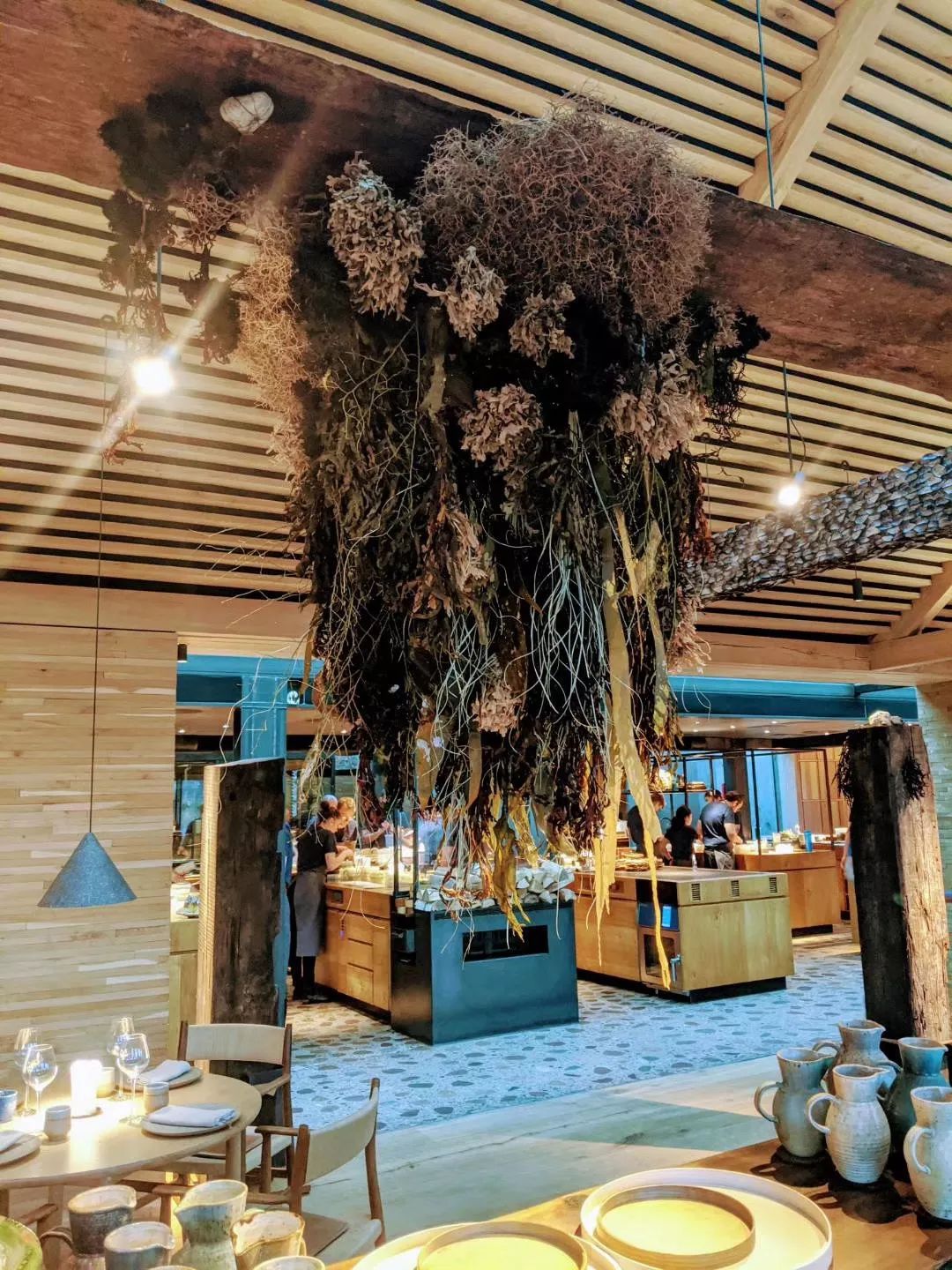 世界第一餐厅NOMA:“有什么吃什么”的能耐和“改变世界”的勇气