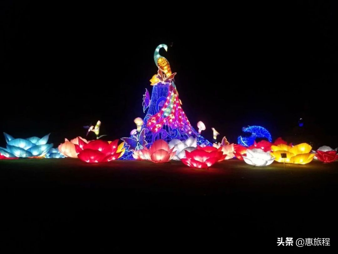 花世界灯展,东西湖花世界灯光节
