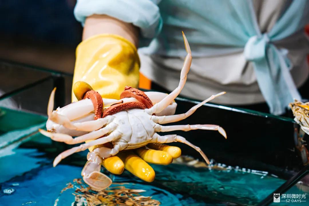 100元左右的海鲜,100元买的海鲜