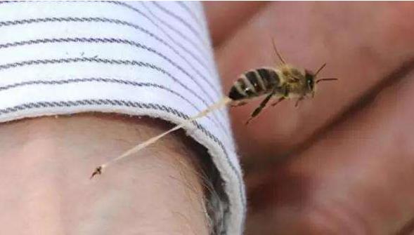 5岁女孩耳朵嗡嗡响怎么回事,5岁孩子喊耳朵疼紧急处理