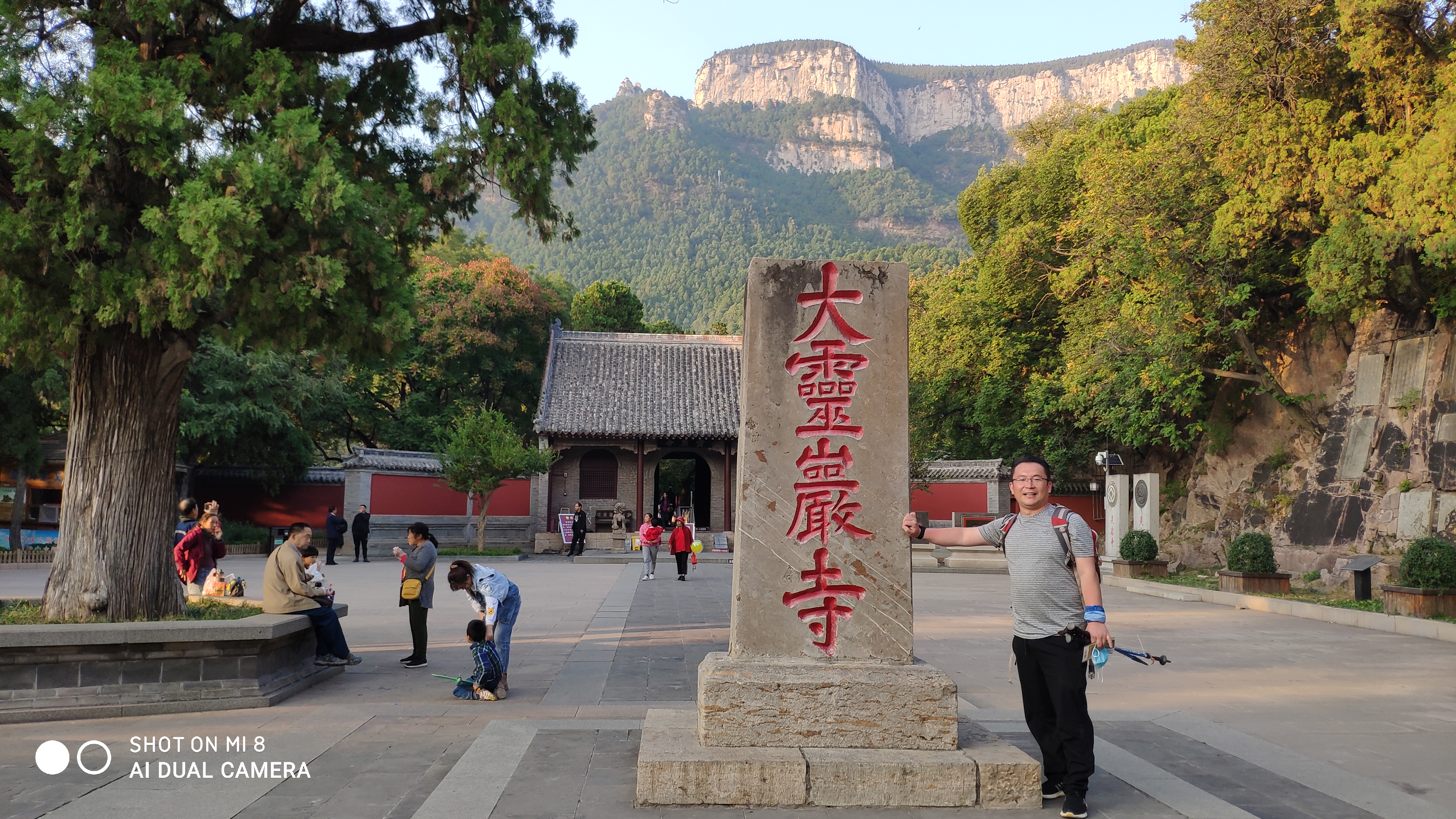 去济南灵岩寺什么必看,济南灵岩寺神树
