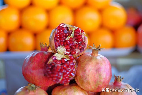 石榴的种植方法和栽培技术,石榴种植高产的原因有哪些