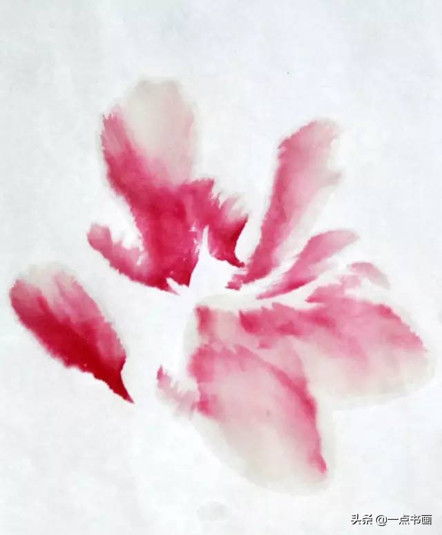 王绣写意牡丹画法步骤,王兮然写意牡丹画法视频大全