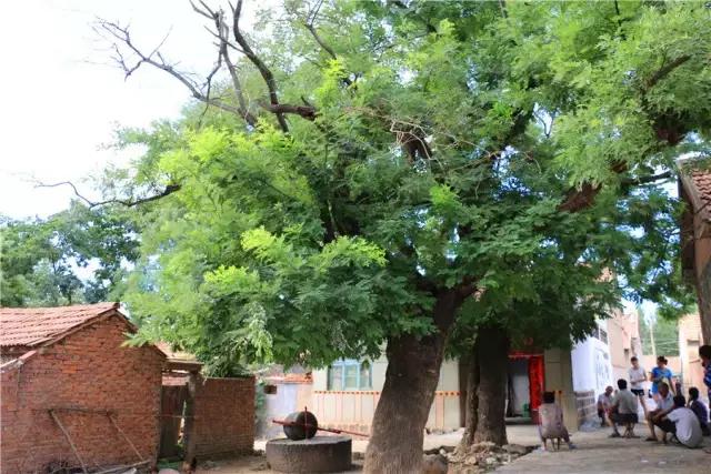 潍坊周边的城市有什么好玩的景点,潍坊周边200公里内游攻略