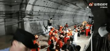 郑州遭遇特大暴雨主人带狗狗撤离,河南遭遇特大暴雨的小狗