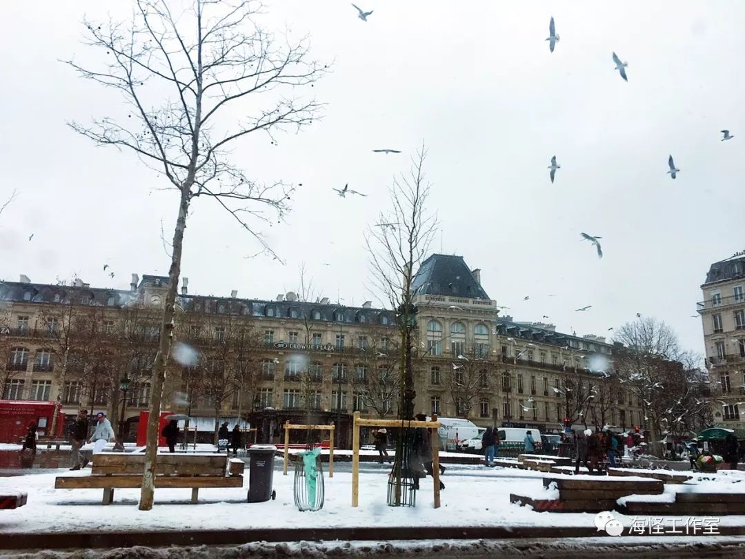 在法国留学的中国学生,在中国生活8年的法国小哥回国后