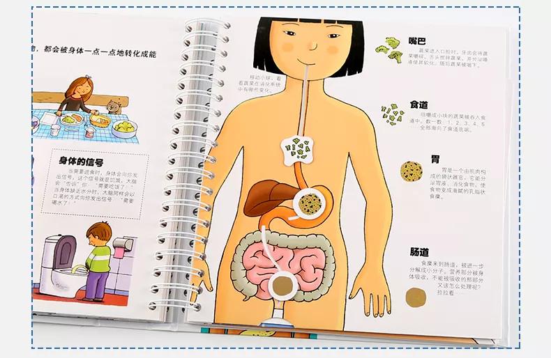 儿童性教育应该教给孩子些什么,儿童性教育要教哪些