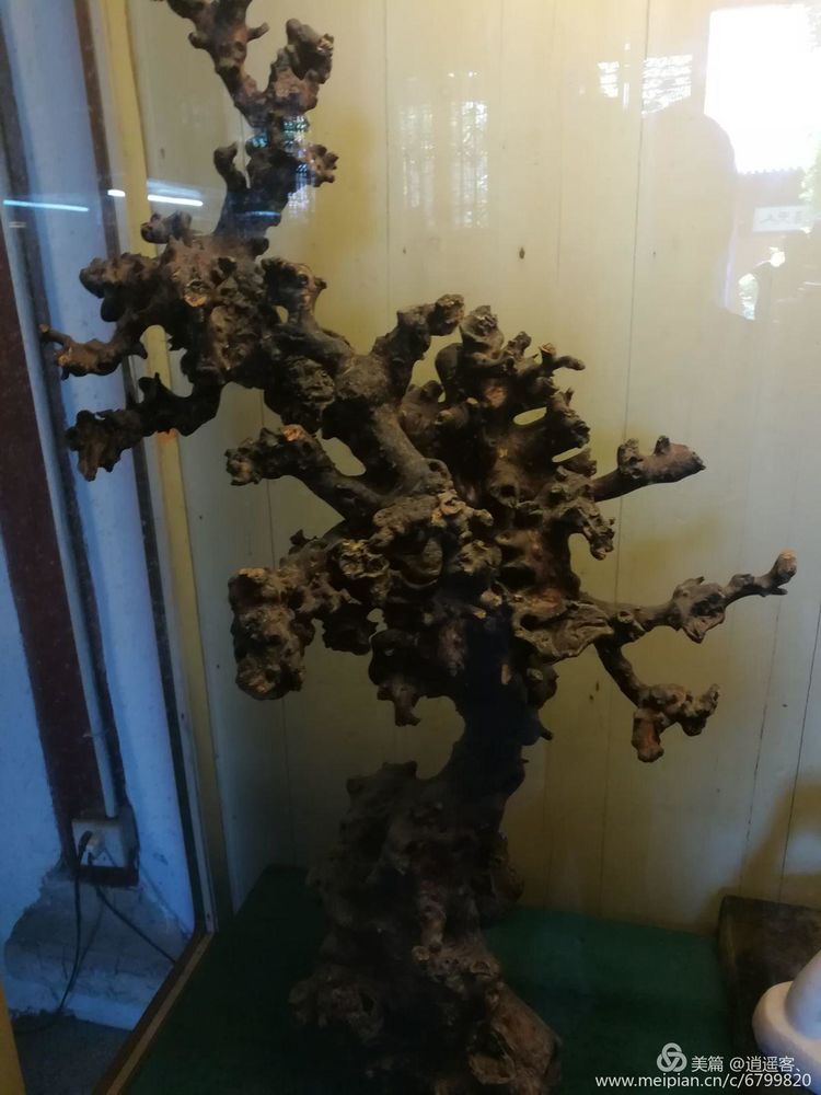 台州天台山国清寺要门票吗,天台山国清寺旅游攻略