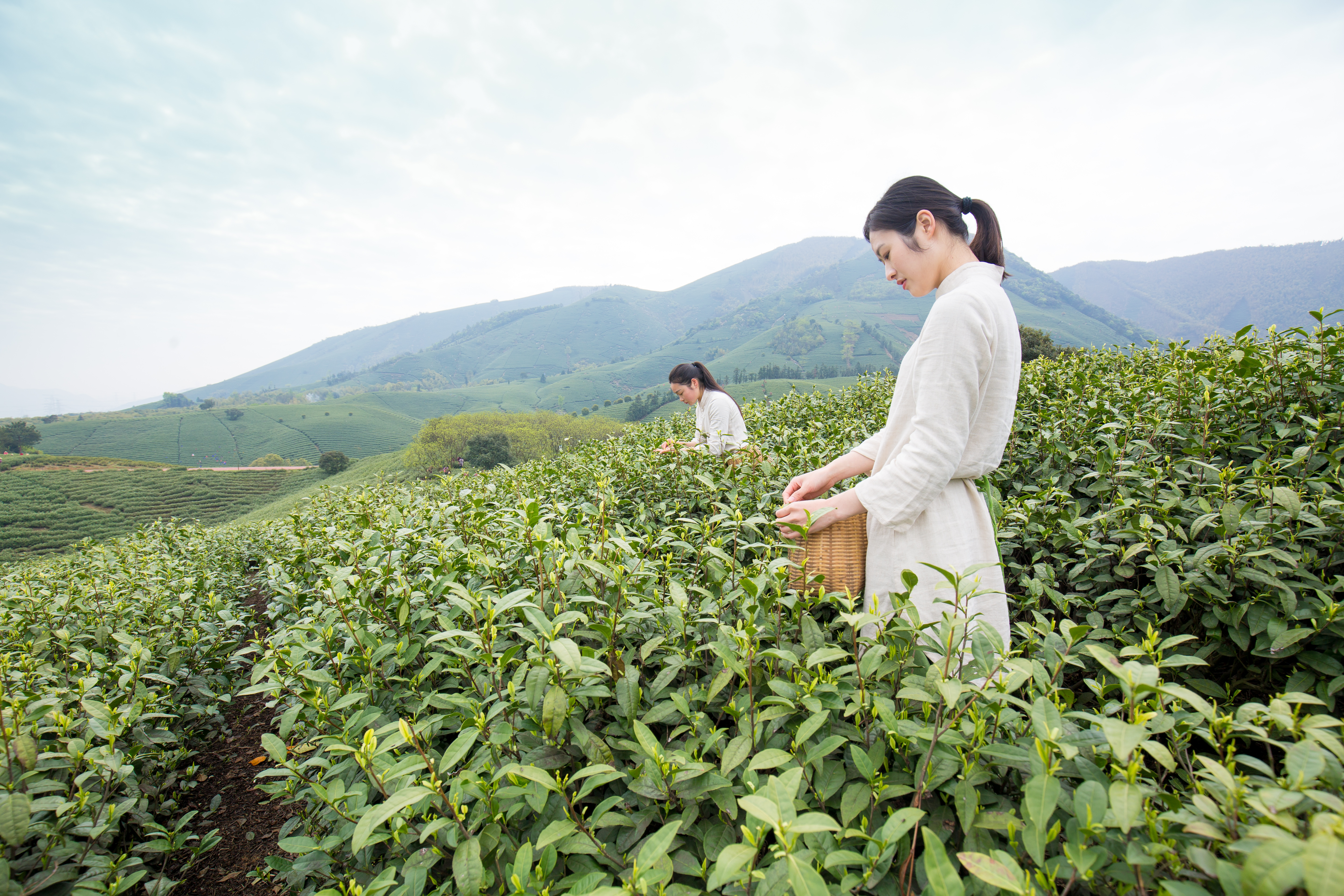 瀹夊悏hellokitty涔愬洯浣忓,娴欐睙鐪佹澀宸炲競瀹夊悏鍘縣ellokitty涔愬洯