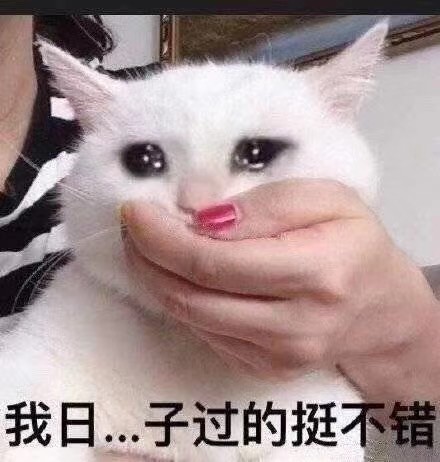 HiFi烧友假期在家被嫌弃的全程自述（内容过度真实）